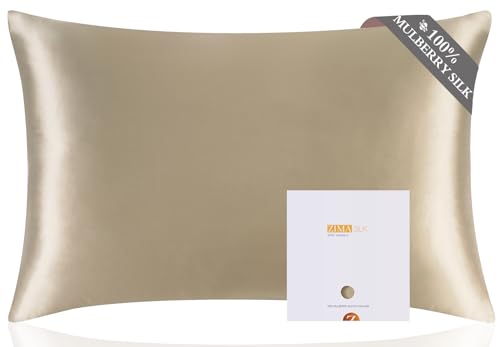 ZIMASILK 100% Pure Mulberry Silk Pillowcase for Hair and Skin Health,Soft and Smooth,Both Sides Premium Grade 6A Silk,600 Thread Count,with Hidden Zipper,1pc (Queen 20''x30'',Taupe)