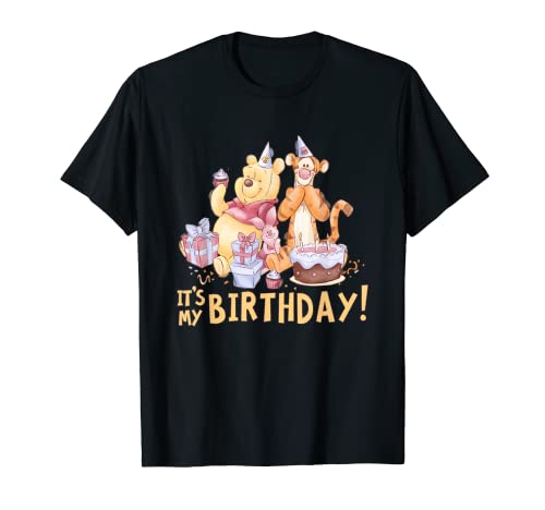 Disney Winnie the Pooh It’s My Birthday T-Shirt