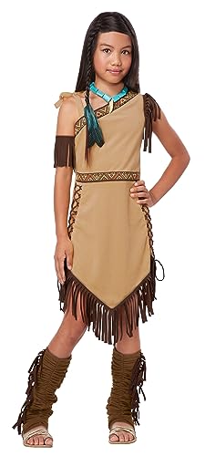 California Costumes Native American Princess Child Costume,Brown,Small