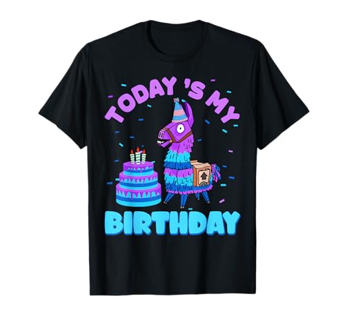 Todays My Birthday Llama Boy Family Party Decorations T-Shirt