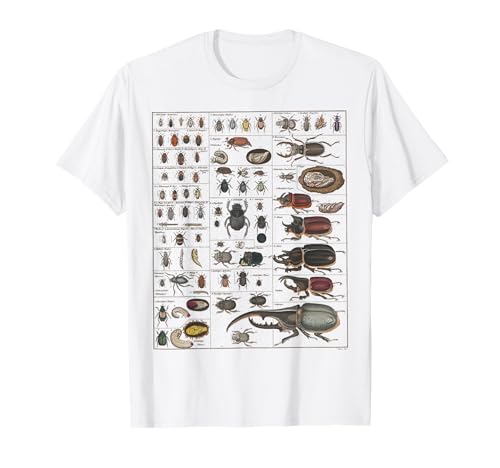 Insect Collection Species Bugs Vintage Chart Entomology T-Shirt