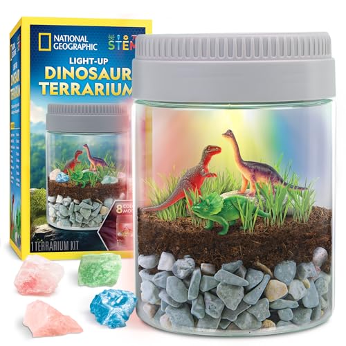 NATIONAL GEOGRAPHIC Dinosaur Terrarium Kit for Kids – Multicolor Light Up Terrarium Kit for Kids, Build a Dinosaur Habitat with Real Plants, Science Kit, Dinosaur Toys for Kids, Kids Science